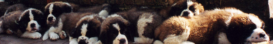 Masthead Image
