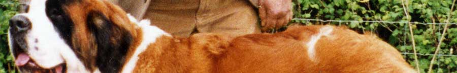 Masthead Image