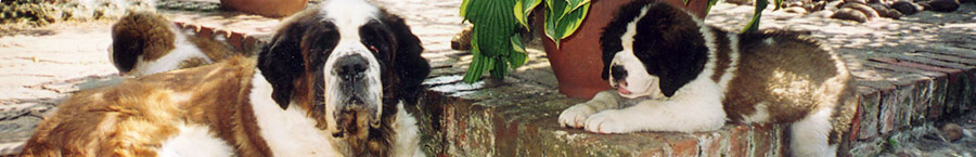 Masthead Image